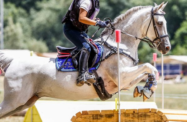 Cavalierdesport