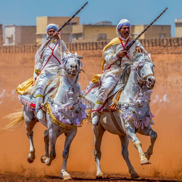 Cavalierdesport